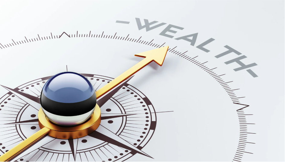 The Seed to Financial Freedom: A Practical Approach